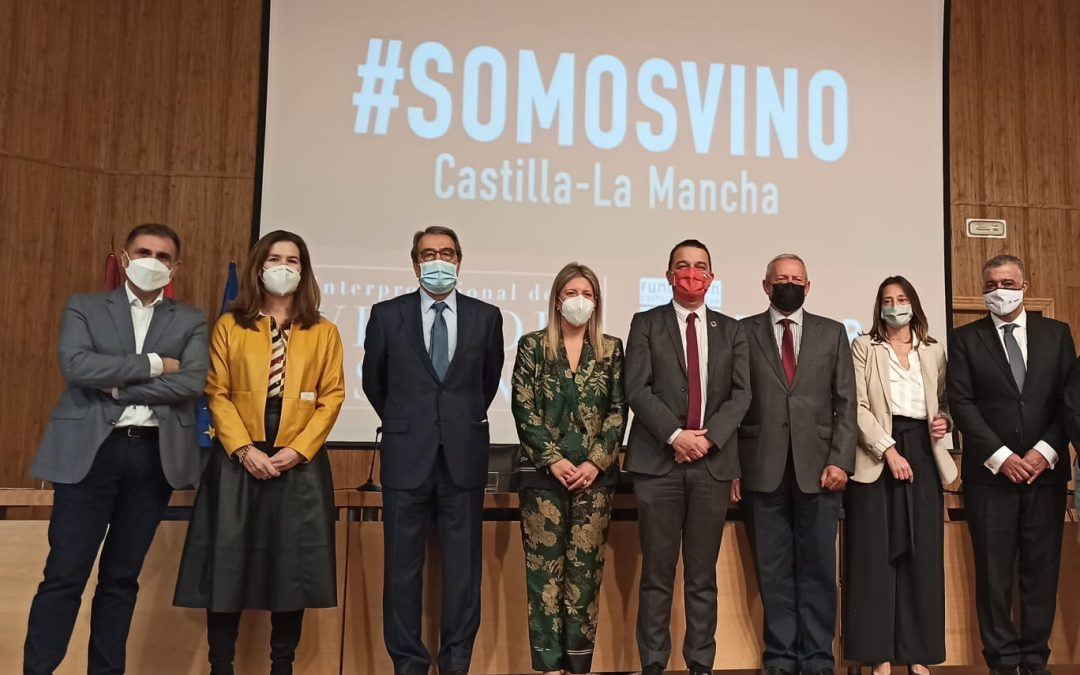 Estudio Importancia sector vitivinícola en Castilla-La Mancha