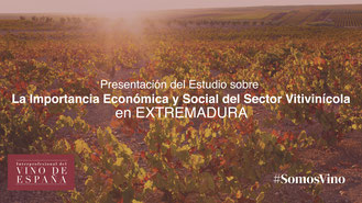 La Interprofesional del Vino de España presenta en Iberovinac el Estudio sobre la importancia del sector vitivinícola en Extremadura
