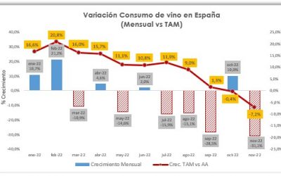 La crisis energética y la presión inflacionista frenan la recuperación del consumo de vino en España