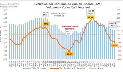 El consumo de vino en España frena su caída en 2023 y se estabiliza en torno a los 9,6 millones de hl.