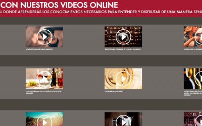 Nace ‘Escuela de Vino’, la plataforma de contenidos de la Interprofesional del Vino de España para acercar la cultura del vino a todos los públicos