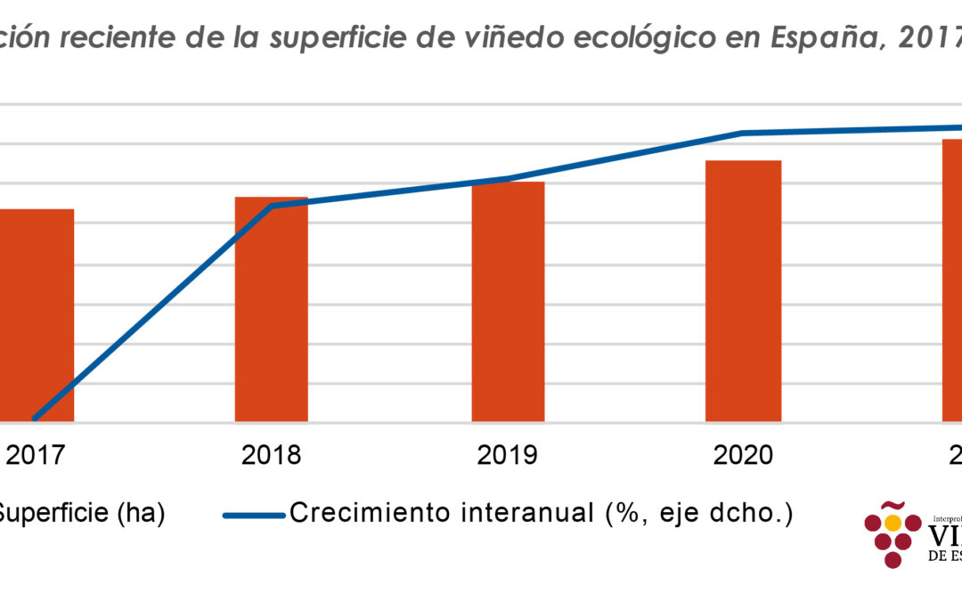 La superficie de viñedo ecológico crece un 33% en España en 4 años