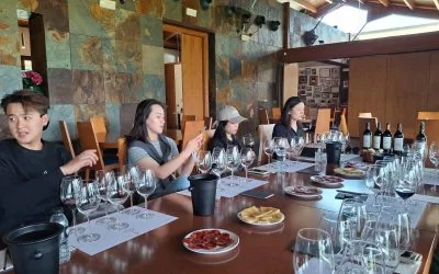 OIVE acerca los vinos de España a profesionales del mercado chino