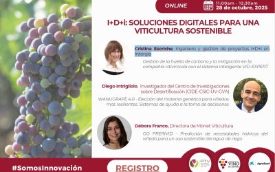 Soluciones digitales para una viticultura sostenible