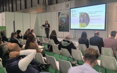 El sector necesita incorporar 22.600 jóvenes para la gestión de explotaciones vitivinícolas