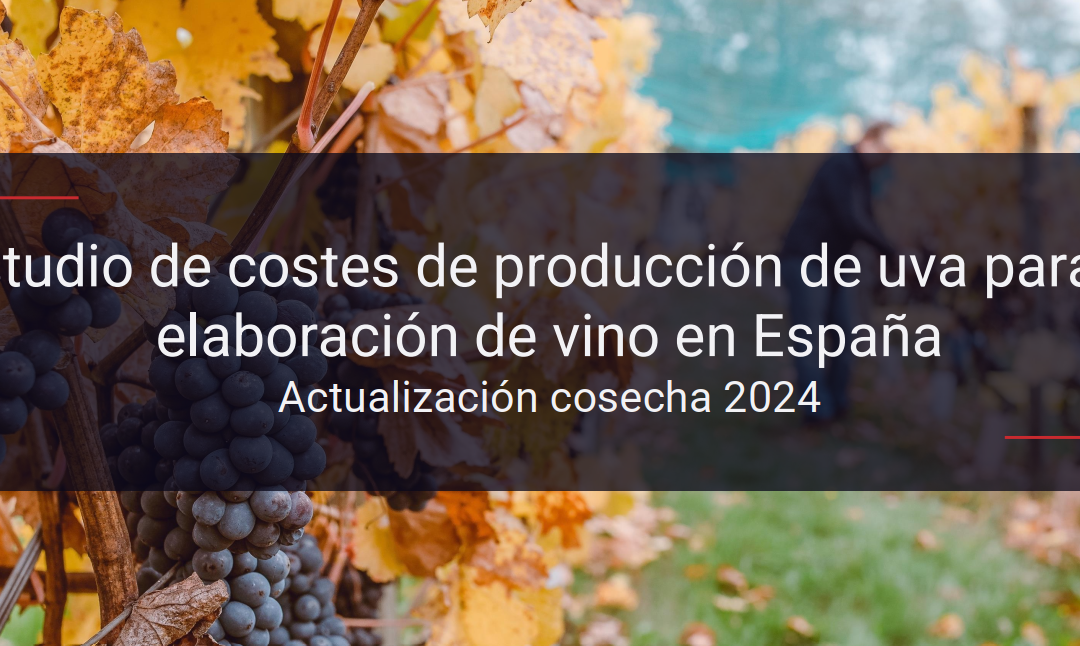 OIVE presenta la radiografía de los costes del viñedo español, marcada por su elevada diversidad y heterogeneidad