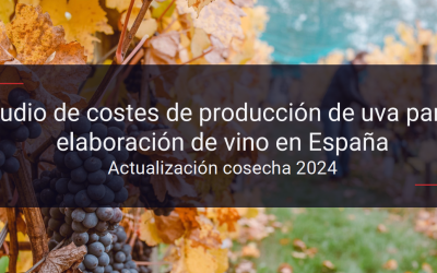 OIVE presenta la radiografía de los costes del viñedo español, marcada por su elevada diversidad y heterogeneidad
