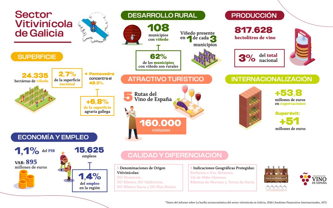 El sector vitivinícola gallego mantiene más de 15.600 empleos y está presente en 1 de cada 3 municipios