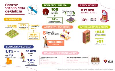 El sector vitivinícola gallego mantiene más de 15.600 empleos y está presente en 1 de cada 3 municipios